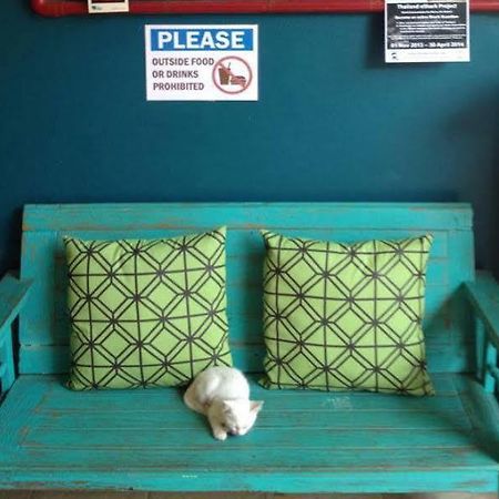 Monkey Dive Hostel Khaolak Khao Lak Zewnętrze zdjęcie